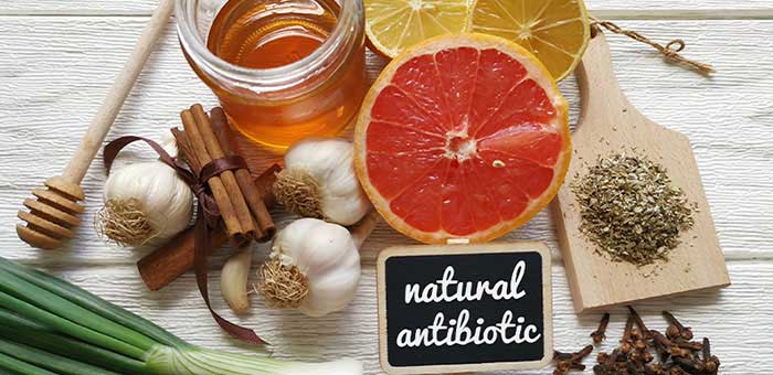 holistic antibiotics in Monroeville, PA