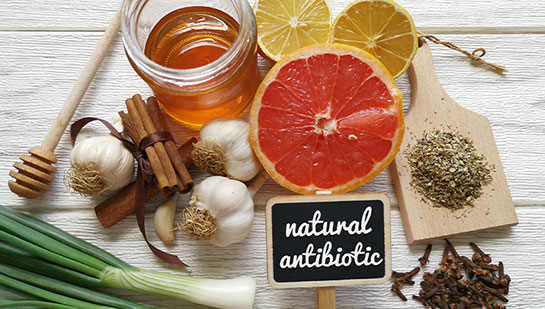 holistic antibiotics in Monroeville, PA